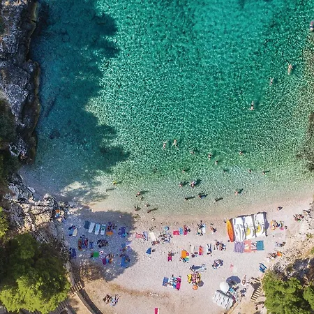 Apartman Cozy In With Wifi *